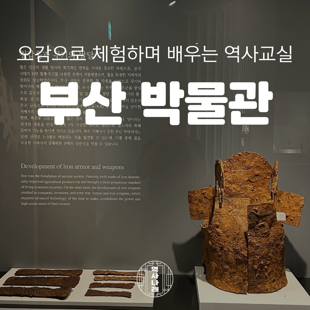 부산박물관, 부산을 중심으로 펼쳐지는 역사이야기 예매 대표 이미지
