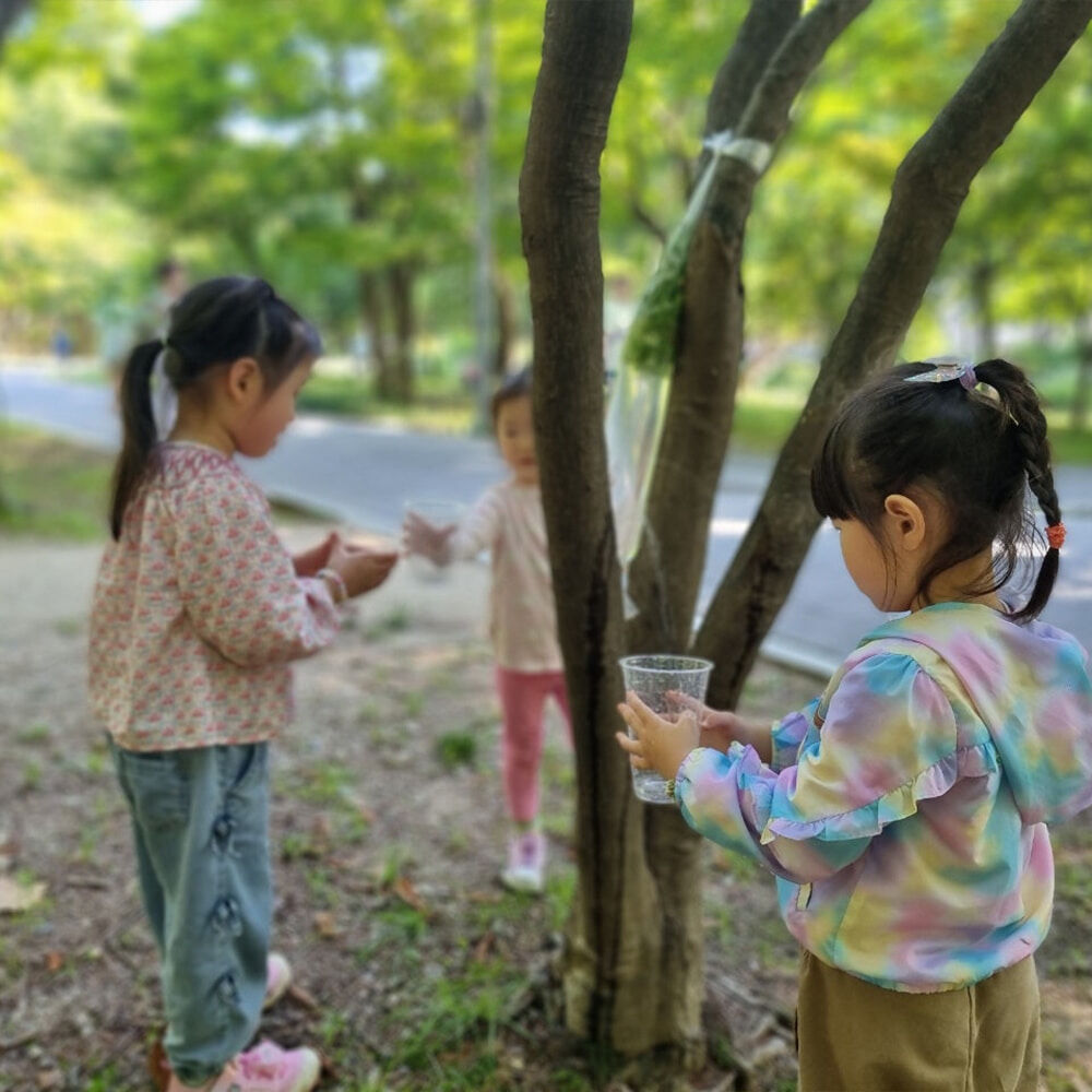 서울 경기 숲체험교실 숲파티포레, 아이와 가기 전 준비물·가격·후기 체크